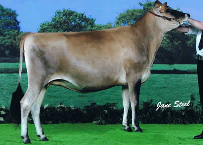 bluegrass shadys august blonde